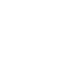 First Fertility Logo